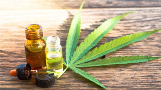 cannabis-medicinal-696x390